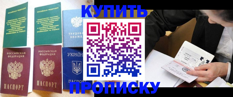 прописка для школы в Опочке